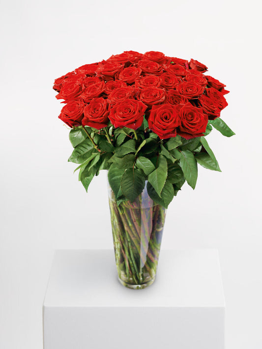 Deluxe: Red Roses